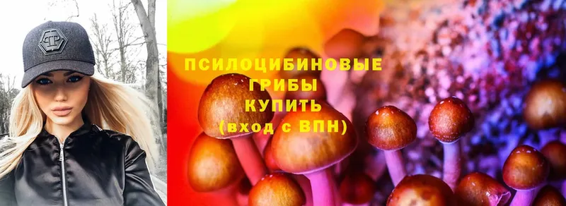 OMG ССЫЛКА  Златоуст  Галлюциногенные грибы Psilocybe  цены наркотик 